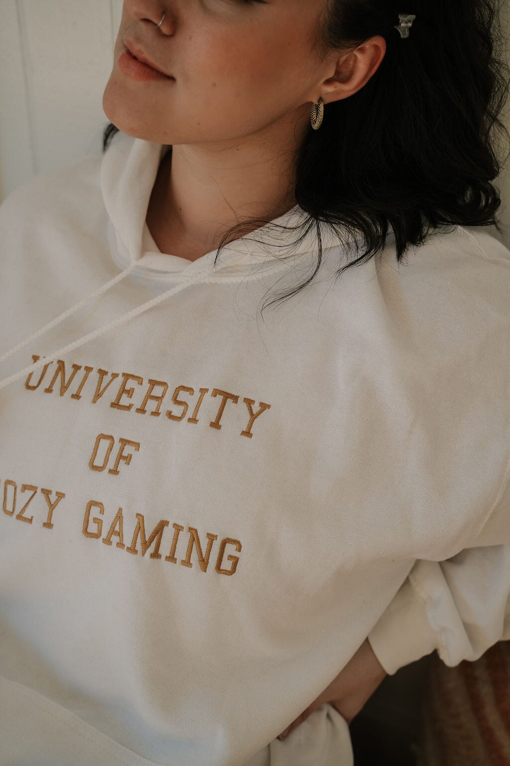 Hoodies (Regular and Embroidered) gaming gamer aesthetic