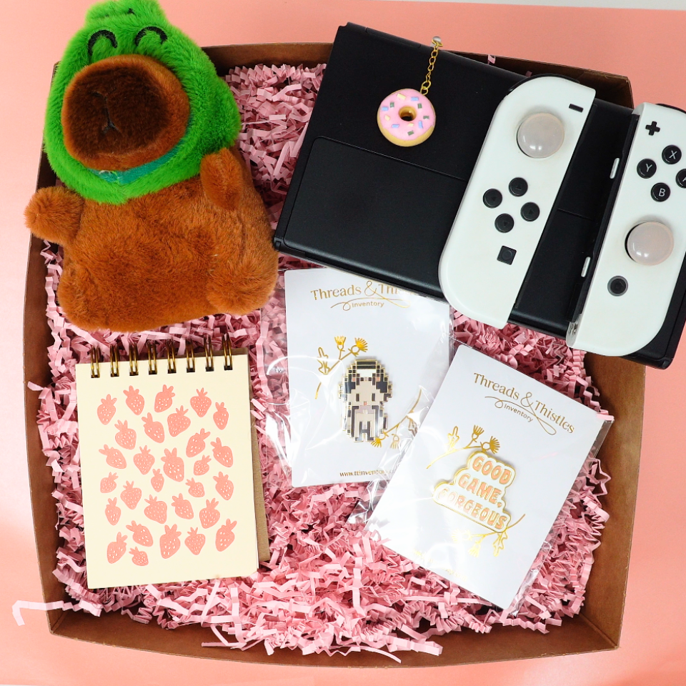 The Cozy Gamer Box