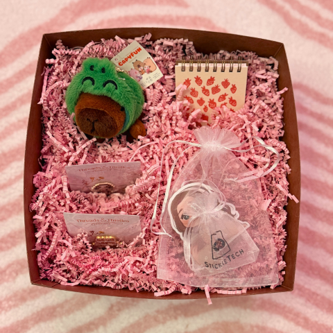 The Cozy Gamer Box