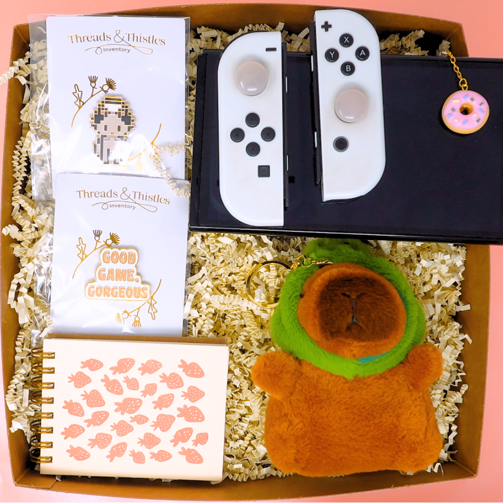 The Cozy Gamer Box