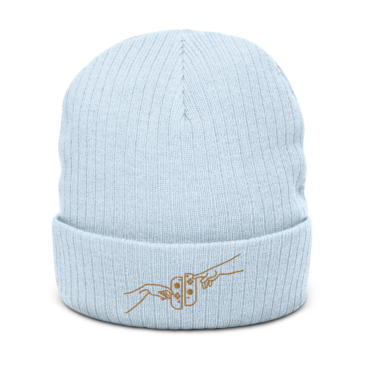 The Creation of Switch | Ribbed knit beanie | Cozy Gamer Threads and Thistles Inventory Light Blue 