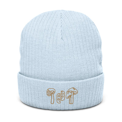 Mushrooms & Switch | Ribbed knit beanie | Cozy Gamer Threads and Thistles Inventory Light Blue 