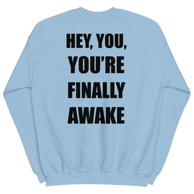 You're Finally Awake | Unisex Sweatshirt | Skyrim Threads & Thistles Inventory Light Blue S 