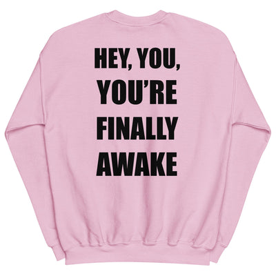 You're Finally Awake | Unisex Sweatshirt | Skyrim Threads & Thistles Inventory Light Pink S 