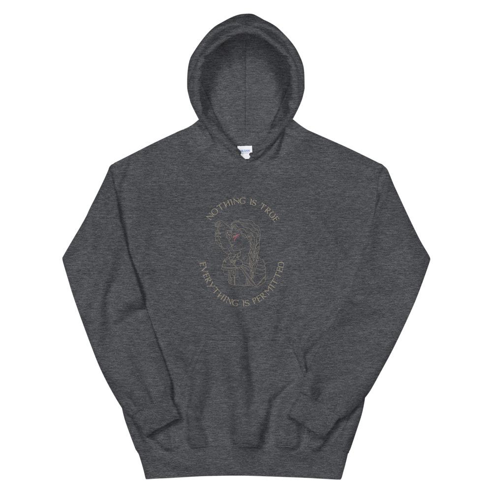 Nothing is True | Unisex Hoodie | Assassin's Creed Threads and Thistles Inventory Dark Heather S 