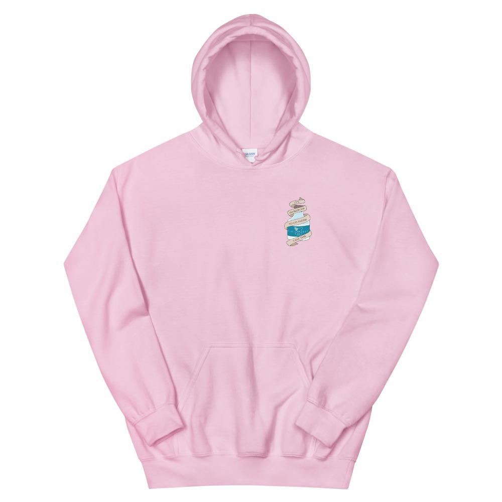 Take This | Unisex Hoodie | The Legend of Zelda Threads and Thistles Inventory Light Pink S 